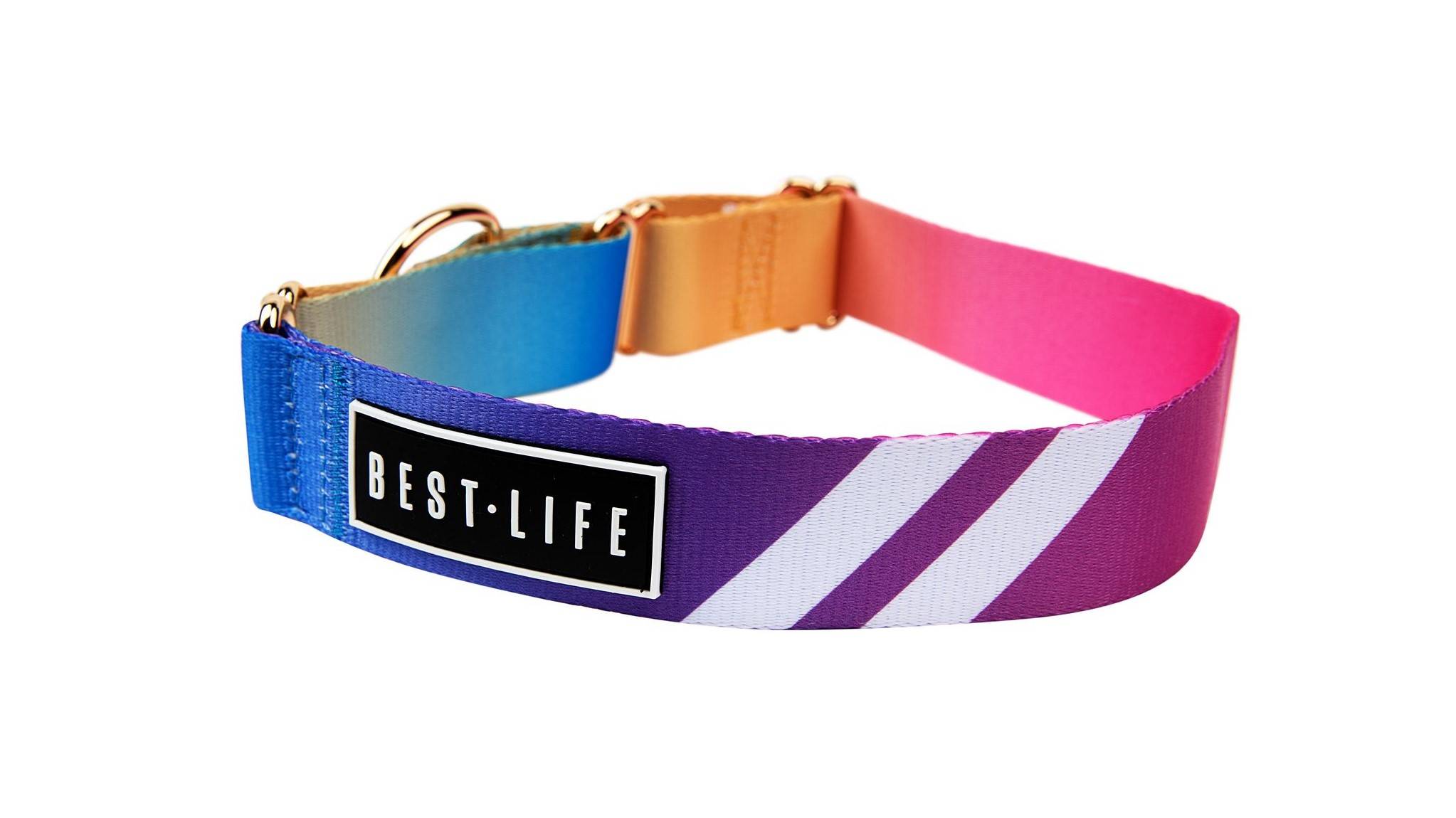 The Buckle Collar vs The Martingale Collar Best Life Leashes The